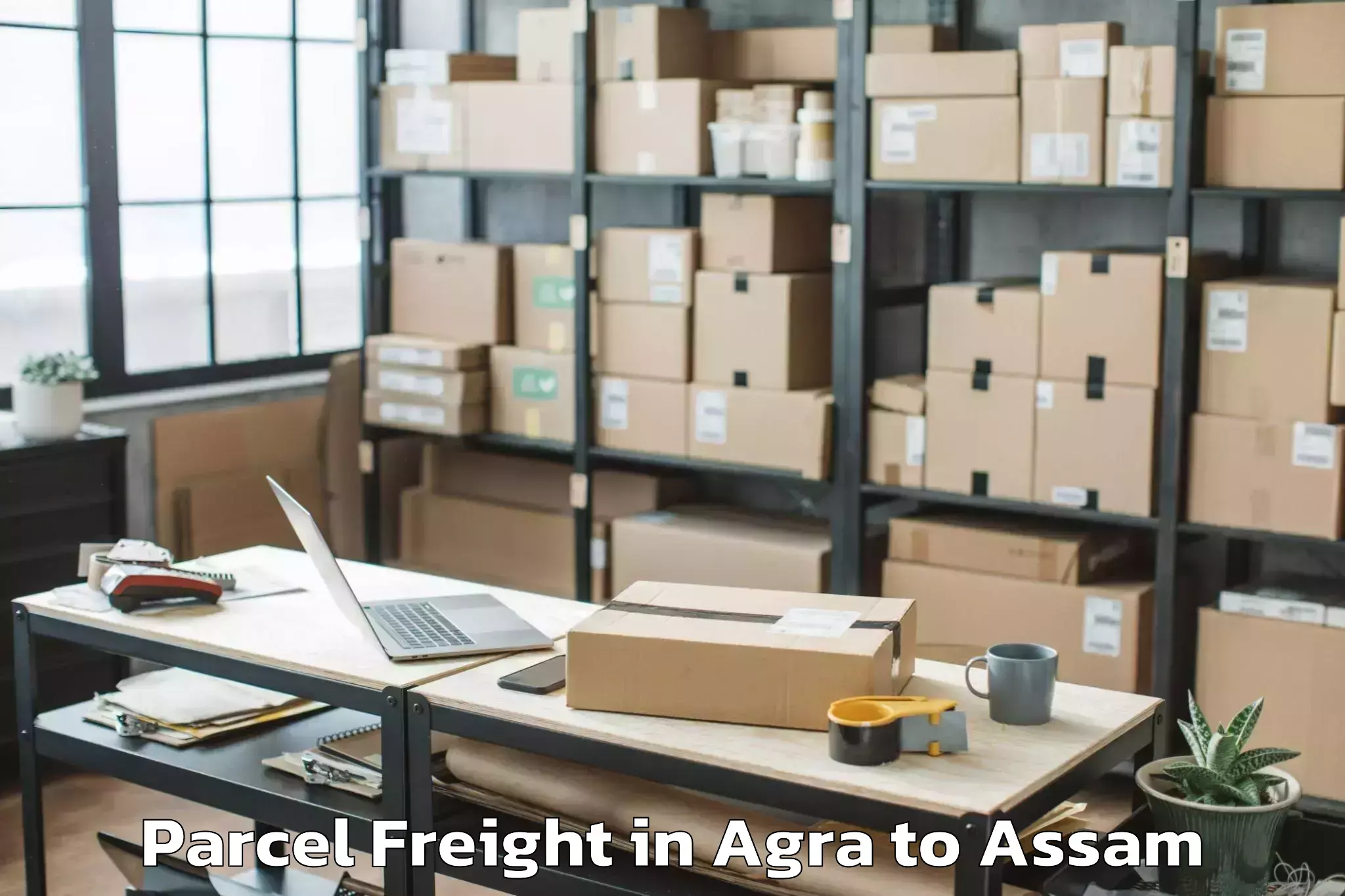 Easy Agra to Rajapara Khatajuli Parcel Freight Booking